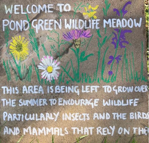 Pond Green Wildlife Meadow